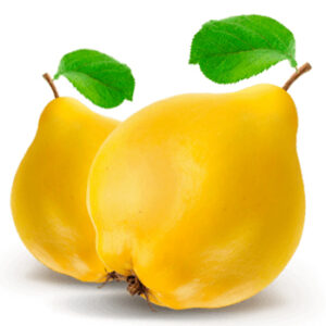 Lemon Quince