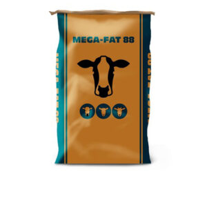 Mega-Fat