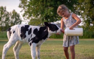 Colostrum Feeding, How Much is Enough?