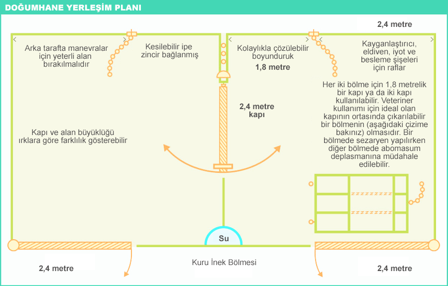 Buzağı inek doğumhane yerleşim planı Buzağı inek doğumhane yerleşim planı