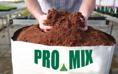 ProMix in Animal Feeding: The Advantages and Applications