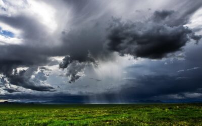 Weathering the Storm: Climate Adaptation and Resilience in the Farm Business