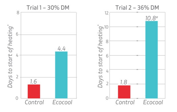 ecocool infographic