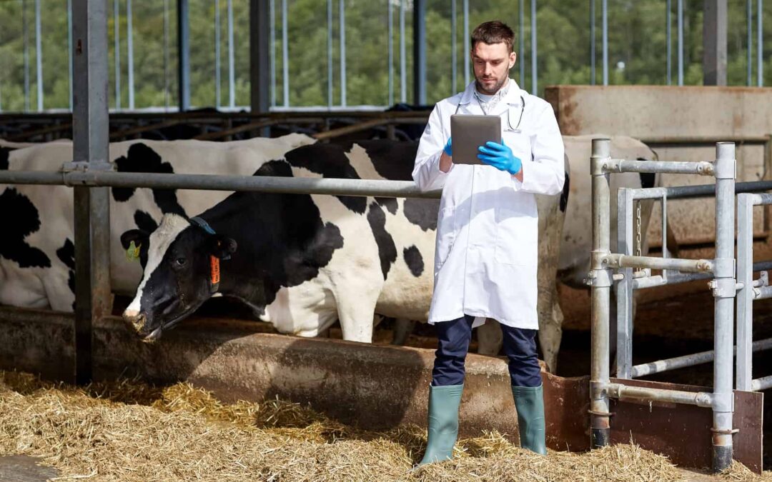 Zorlu Ekonomik Dönemlerde Süt Üretimini Devam Ettirebilmek İçin Süt Çiftçilerine Stratejiler